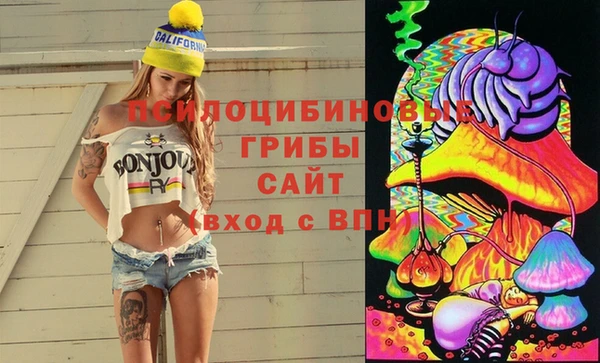 тгк Алексин