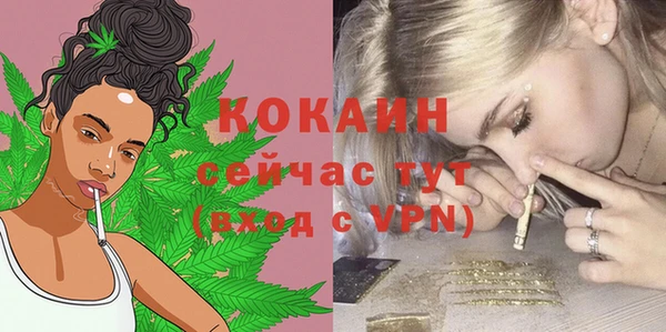 spice Алзамай